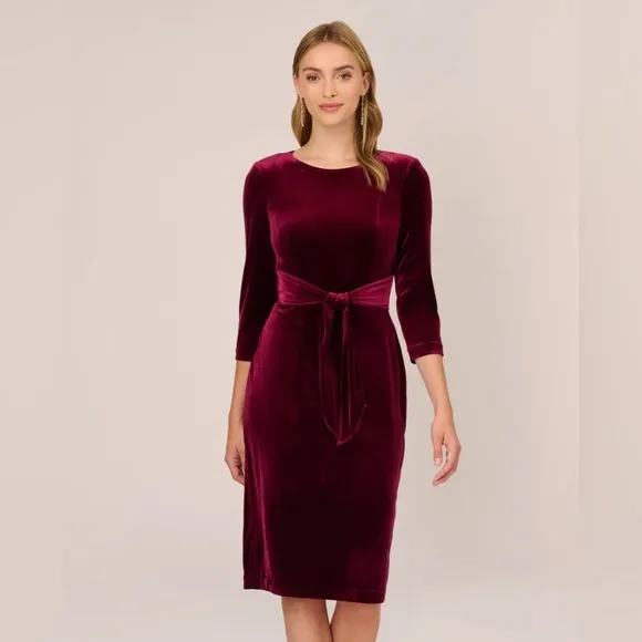 Adrianna Papell Velvet Tie Front Sheath Dress 3/4 Sleeve Crew Neck, Burgundy, 20