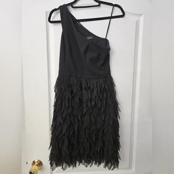 Adrianna Papell Women's Chiffon Feather Cocktail Dress Black SZ 4 NWT
