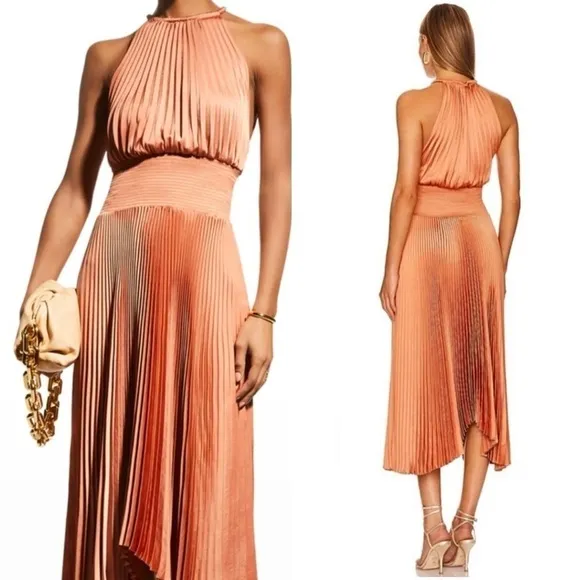 ALC Copper Satin Pleated Sleeveless Halter Smocked Waist Asymmetrical Hem Gown 2