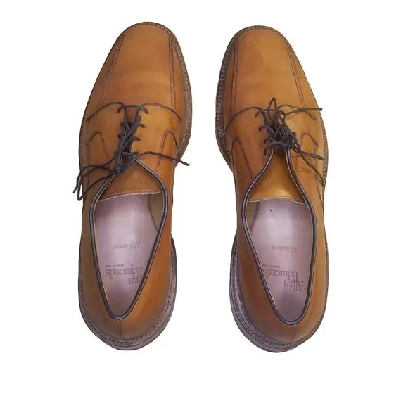 Allen Edmonds Hillcrest Dress Shoes Men 13A Brown Leather Derby Bicycle Toe 5954