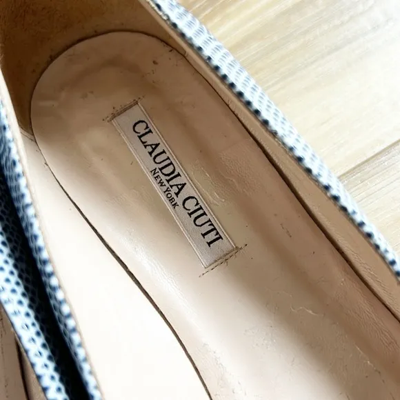 Claudia Ciuti size 9.5 M Pointed Toe Flats, Blue Snakeskin Look