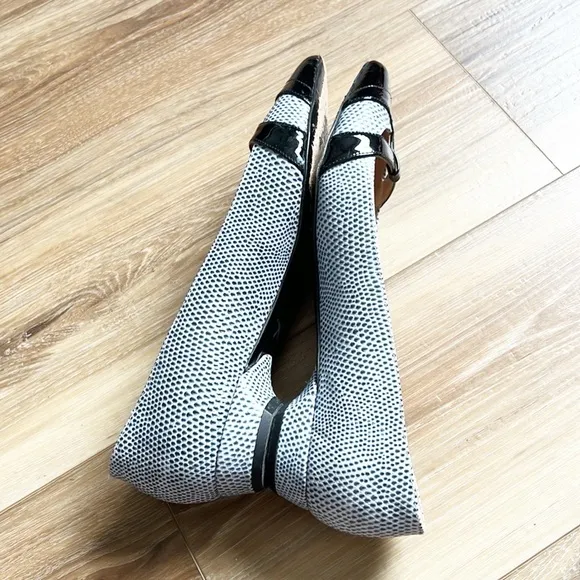 Claudia Ciuti size 9.5 M Pointed Toe Flats, Blue Snakeskin Look