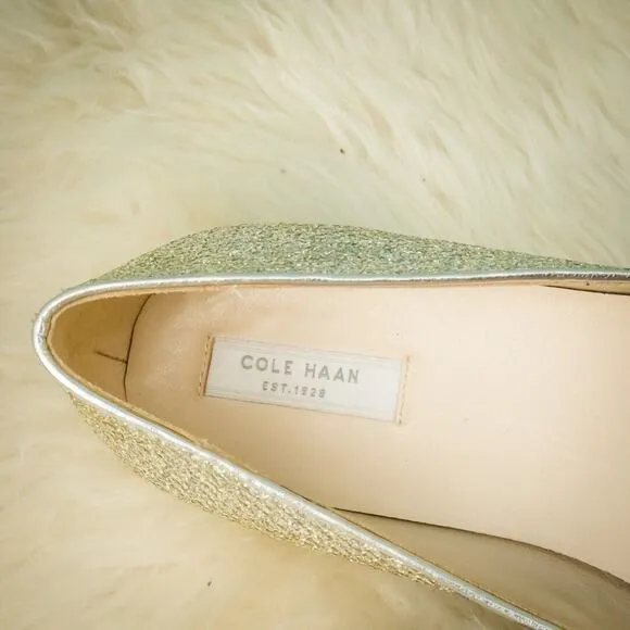 Cole Haan Size 7.5 Tartine Skimmer Silver Metallic Glitter Pointed Toe Flats