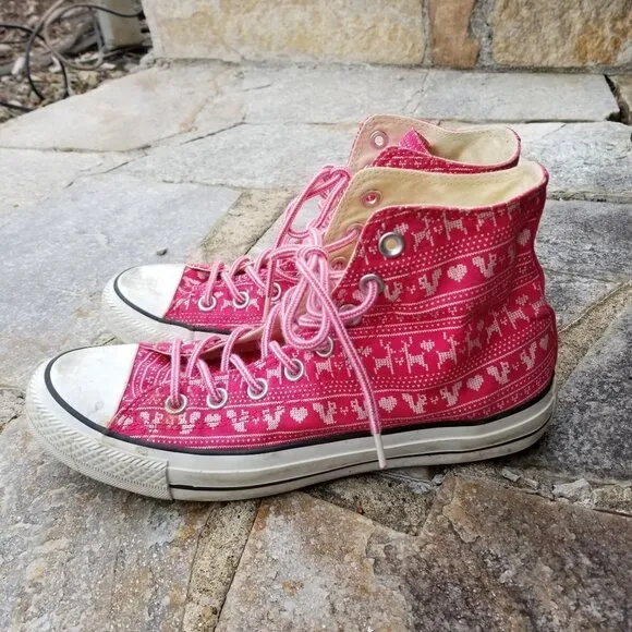 Converse All Star Chucks Winter Limited Edition 9