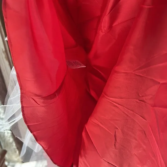 David’s Bridal New w Tag Sz 18 BETSY AND ADAMHigh-Neck Satin Ball Gown in Red