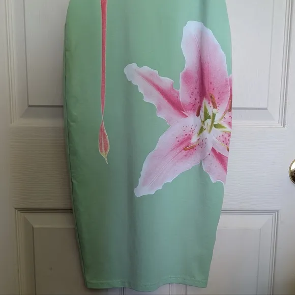 FINAL PRICE Tyler McGillivary Luna Lily Bodycon Dress XS Mint Midi Festival