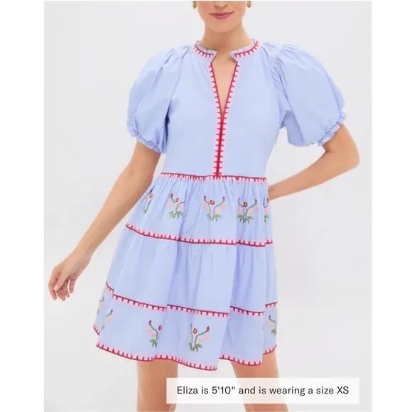 HYACINTH HOUSE Blue Pinstripe Embroidered V-Neck Lillian Mini Dress