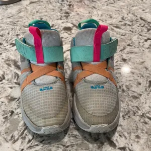 LeBron James basketball volleyball shoes