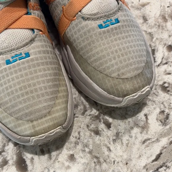 LeBron James basketball volleyball shoes