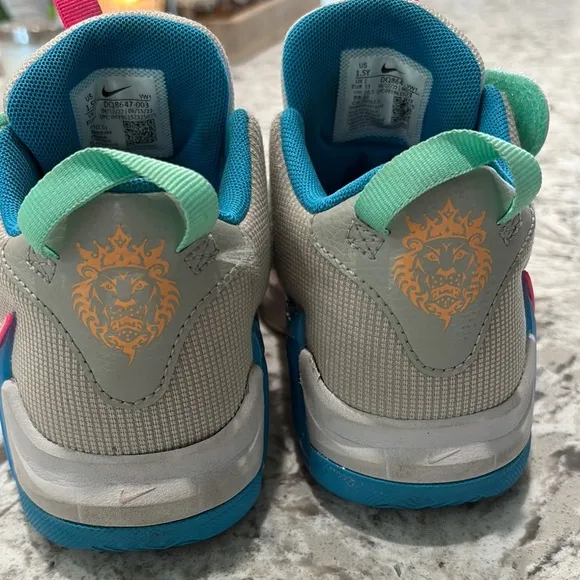 LeBron James basketball volleyball shoes