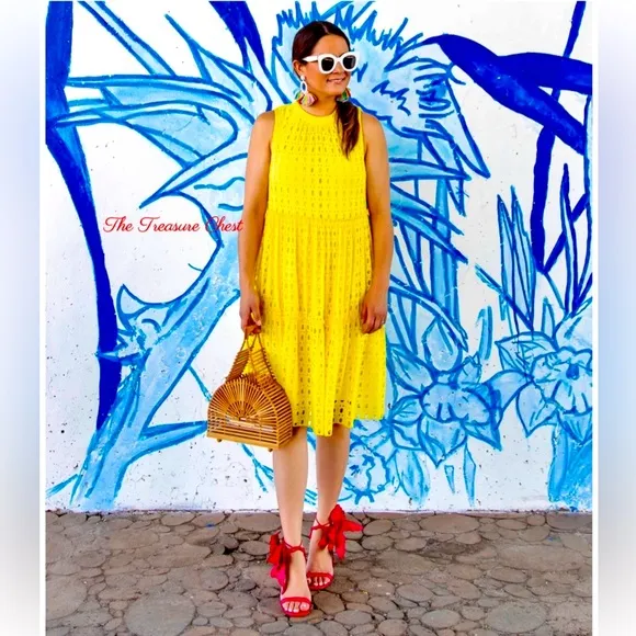 Lilly Pulitzer NWT Indira Swing Dress Lilly’s Lemon 🍋 Eyelet Size XL Gorgeous!