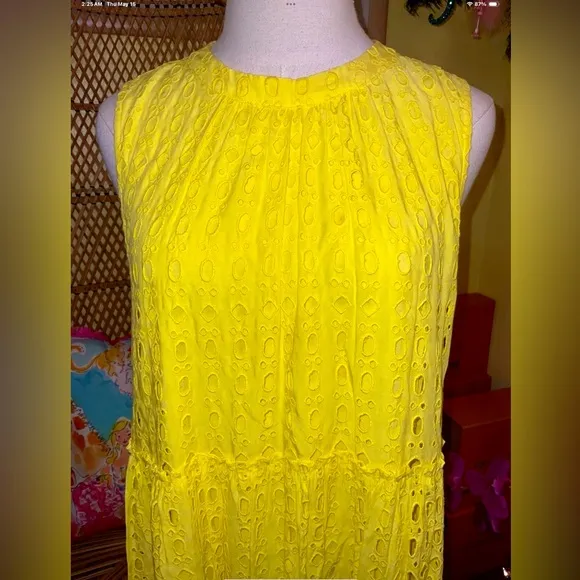 Lilly Pulitzer NWT Indira Swing Dress Lilly’s Lemon 🍋 Eyelet Size XL Gorgeous!