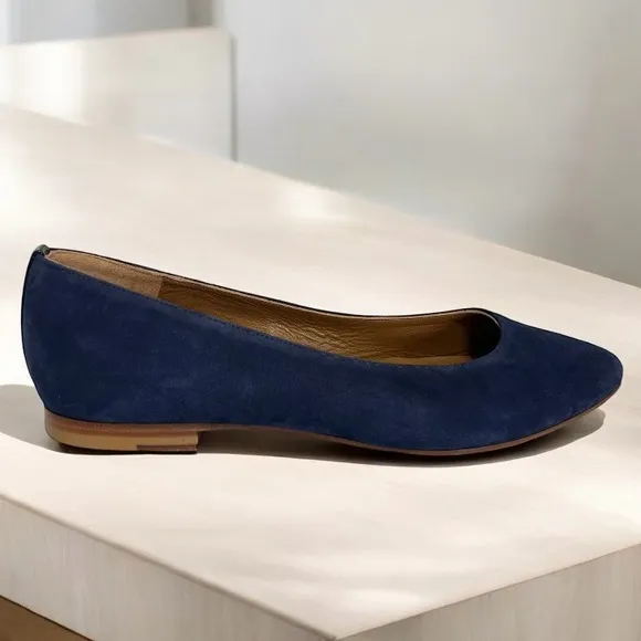 Margaux The Pointe Suede Navy Pointed Toe Flats