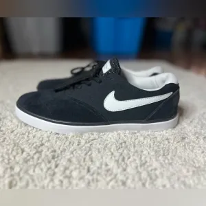 Men’s 10.5 Nike SB Lunarlon Shoes NEW