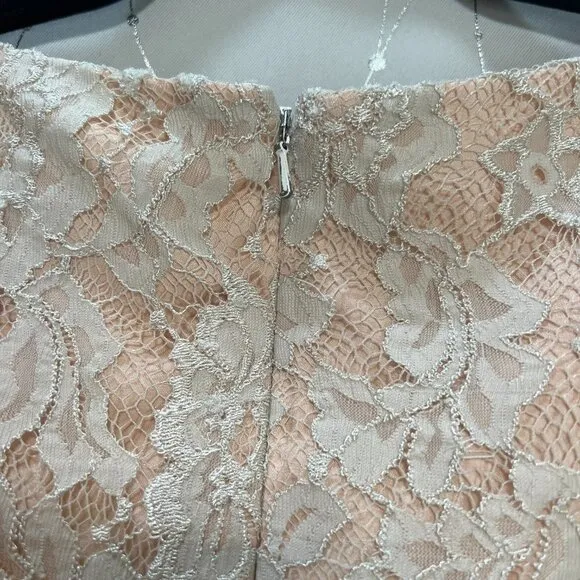 Monique Lhuillier Ivory Blushing Envy Lace Dress $495