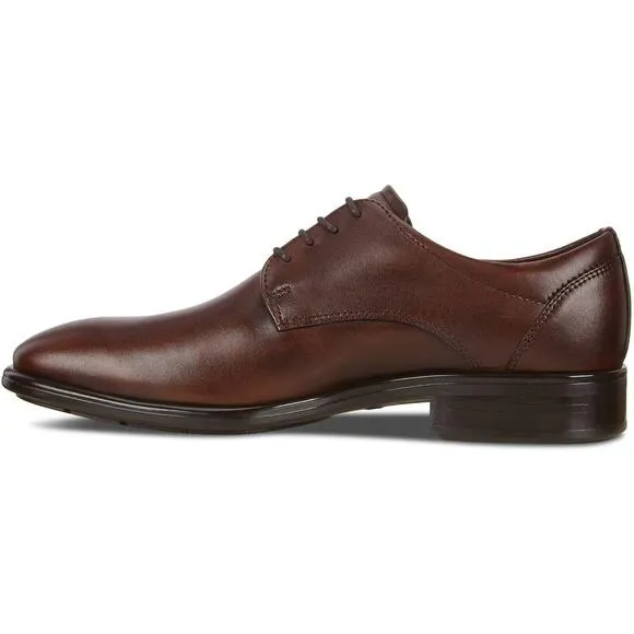 New ECCO Men's CITYTRAY Plain Toe Tie Oxford, Brown (COGNAC), 8 US medium