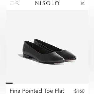 New In Box Nisolo Black Fina Pointed Toe Leather Flats Size 10 French Girl Style