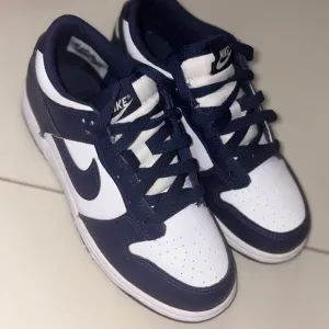 Nike Dark Blue and White Athletic Shoes