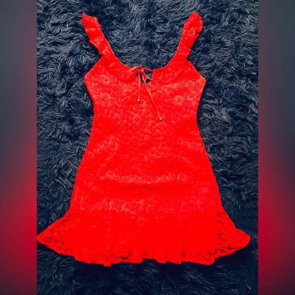 NWOT SAINTS   SECRETS EMBROIDERY RUFFLE NECKLINE SLEEVELESS MINI DRESS. SIZE S