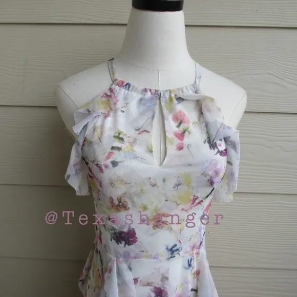 NWT Ted Baker Lauriin Halterneck Ruffle Midi DressSize 4 White/Multi