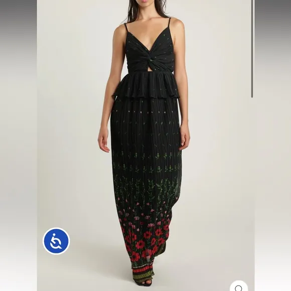 Sabina Musayev Poppy Dipped Pleated Maxi Dress