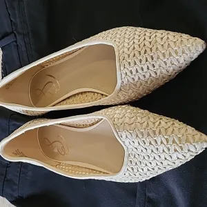 Sam Edelman Wanda Pointed Toe Flats Size 7.5