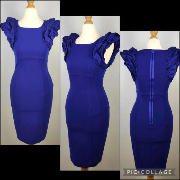 Ted Baker Blue Ruffle Cap Sleeve Pencil Bodycon Dress