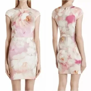 Ted Baker London Women's Floral Pink Quaro Rose On Canvas Neoprene Cap Sleeve Dr