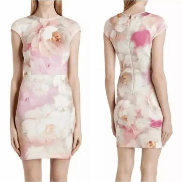 Ted Baker London Women's Floral Pink Quaro Rose On Canvas Neoprene Cap Sleeve Dr