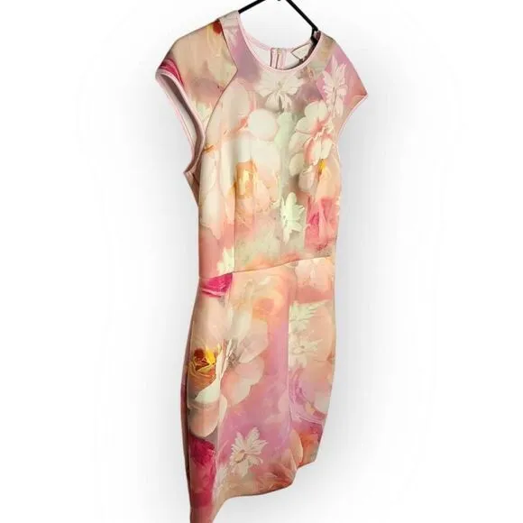 Ted Baker London Women's Floral Pink Quaro Rose On Canvas Neoprene Cap Sleeve Dr
