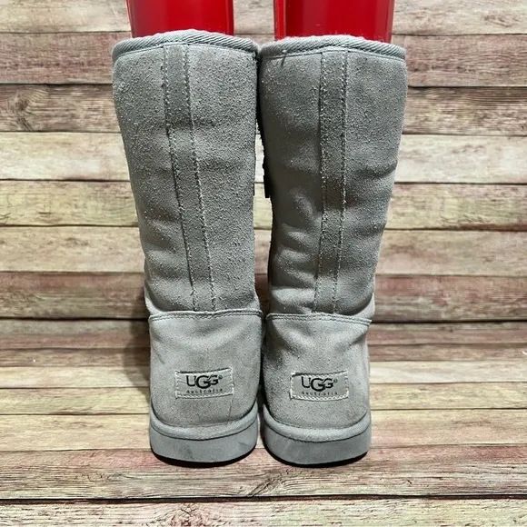 Ugg Grey Suede Side Zip Winter Boots