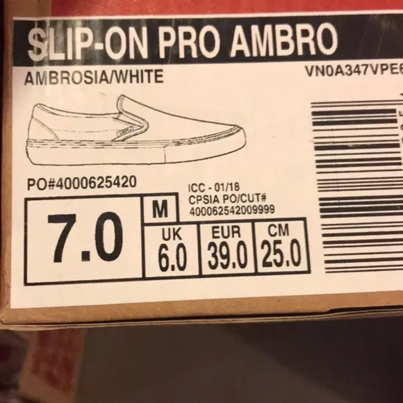 Vans Slip On Pro Ambrosia White Shoes