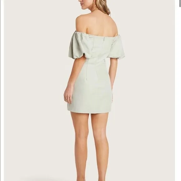 WILLOW Puff Sleeve Barbie Mini Dress Sage Pastel Summer Size L NWT retail $148